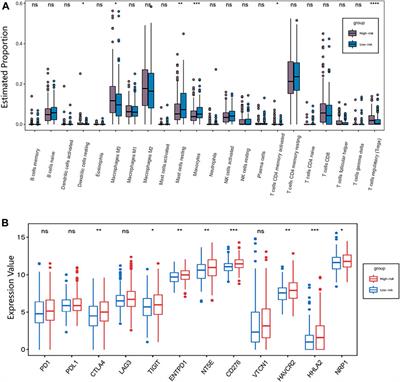 Computational Identification of Immune- and Ferroptosis-Related LncRNA Signature for Prognosis of Hepatocellular Carcinoma